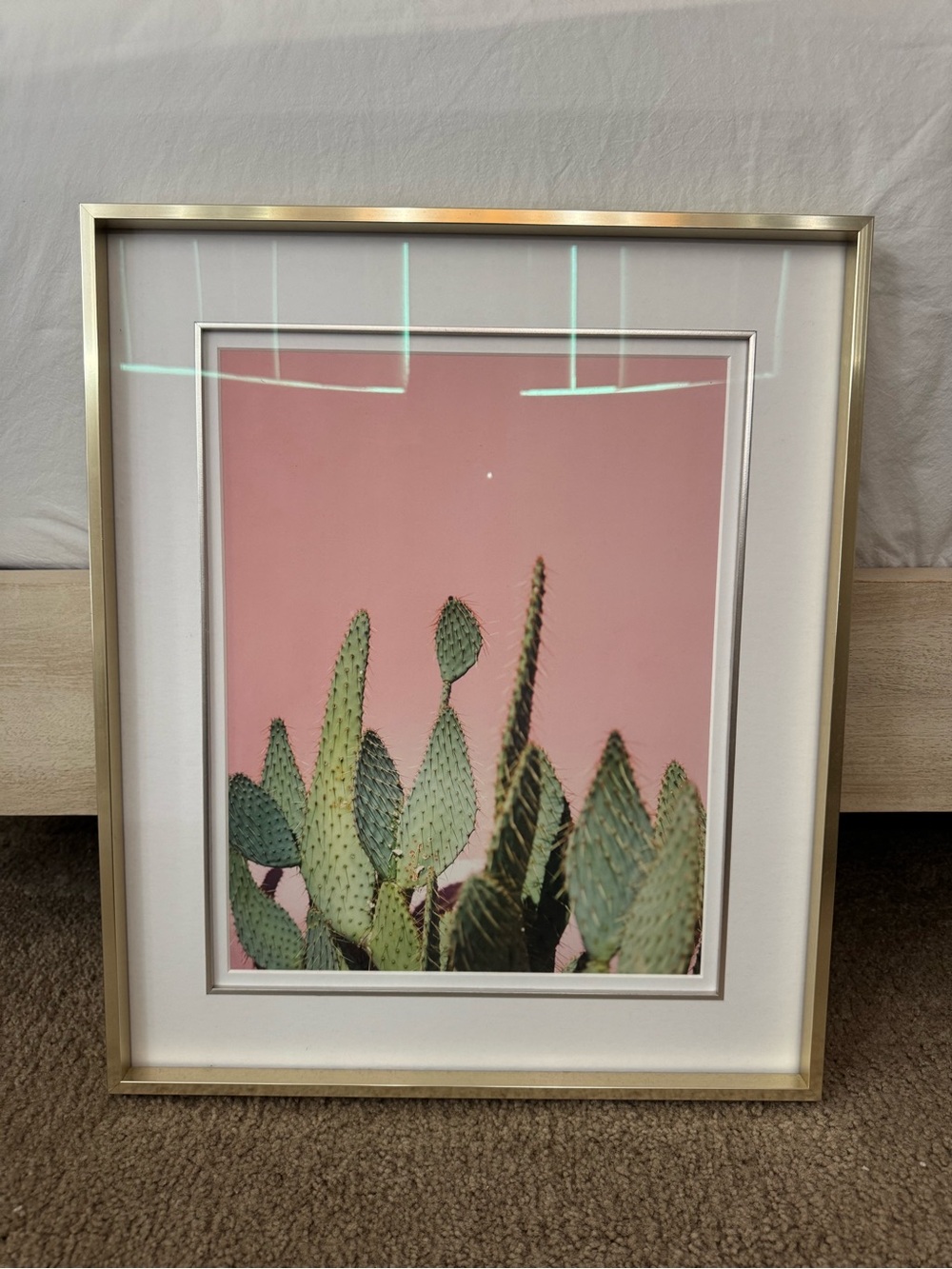 Framed Green Cactus Wall Art with Pink Background - Home Accents